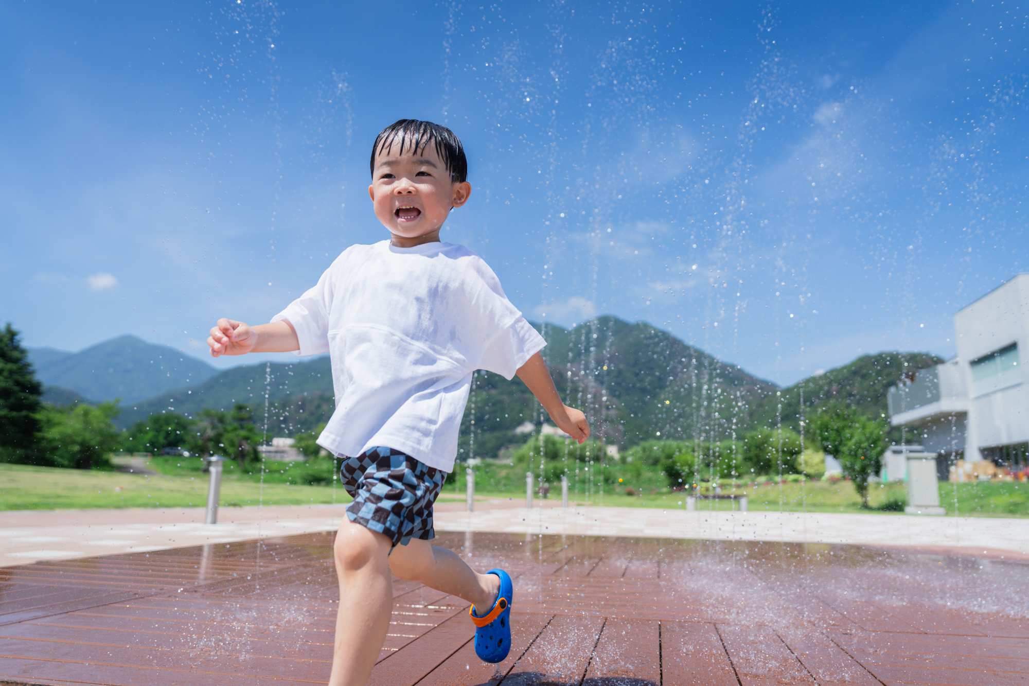 8/23㈰白鳥園フェスタ開催のお知らせ🦢